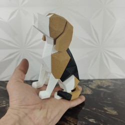 Beagle