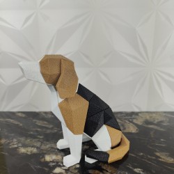 Beagle
